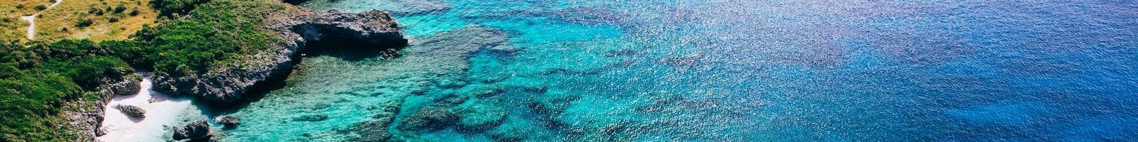 臨床研究部のロゴ